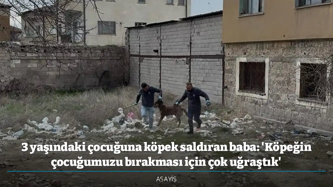 3 yaşındaki çocuğuna köpek saldıran baba: 'Köpeğin çocuğumuzu bırakması için çok uğraştık'