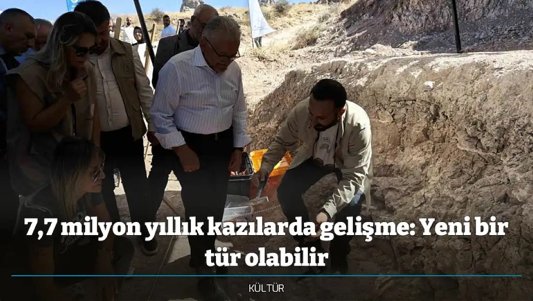 7,7 milyon yıllık kazılarda gelişme: Yeni bir tür olabilir