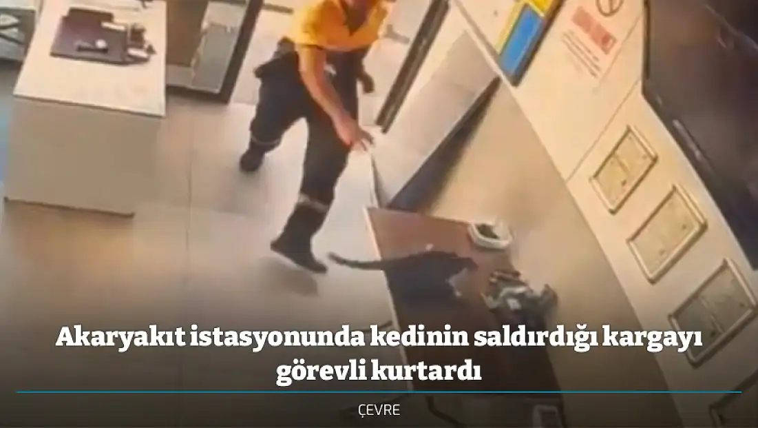 Akaryakıt istasyonunda kedinin saldırdığı kargayı görevli kurtardı