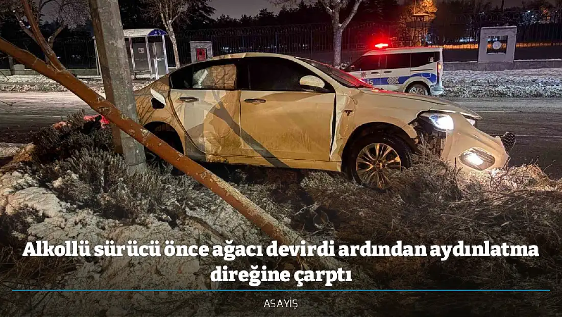 Alkollü sürücü önce ağacı devirdi ardından aydınlatma direğine çarptı