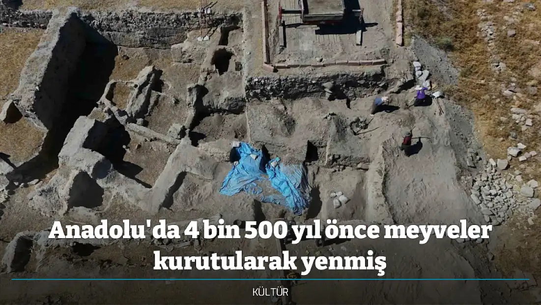 Anadolu'da 4 bin 500 yıl önce meyveler kurutularak yenmiş