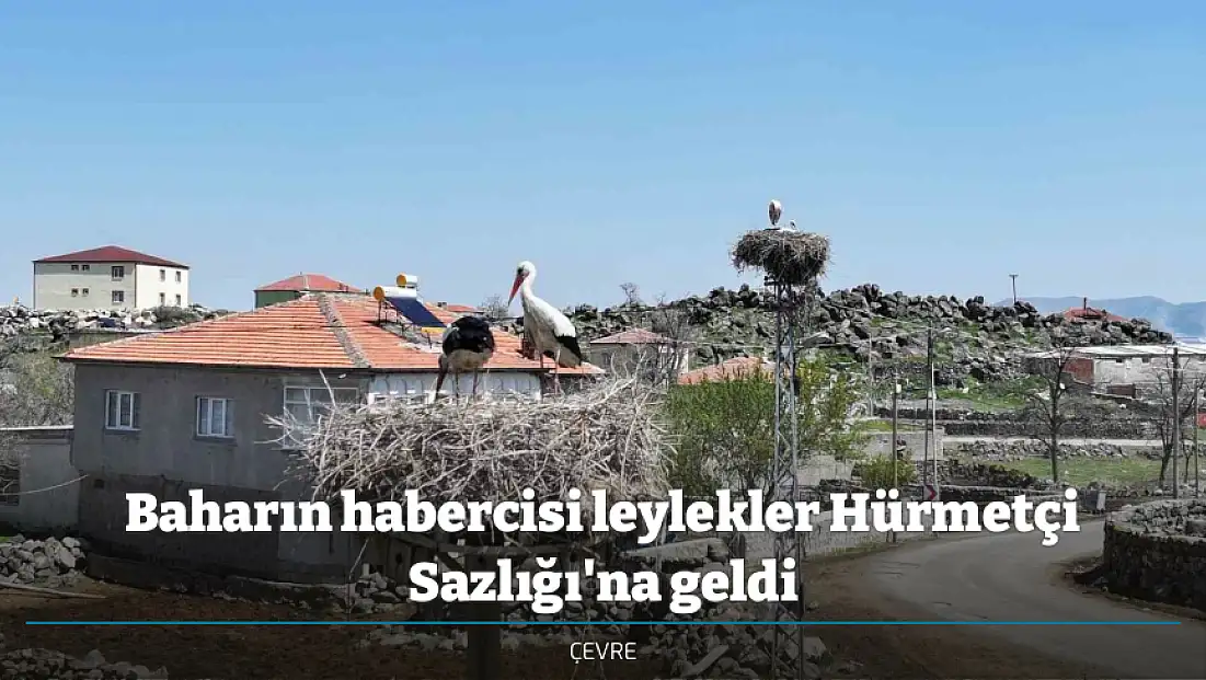 Baharın habercisi leylekler Hürmetçi Sazlığı'na geldi