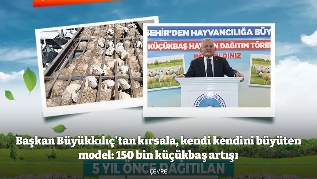 Başkan Büyükkılıç'tan kırsala, kendi kendini büyüten model: 150 bin küçükbaş artışı