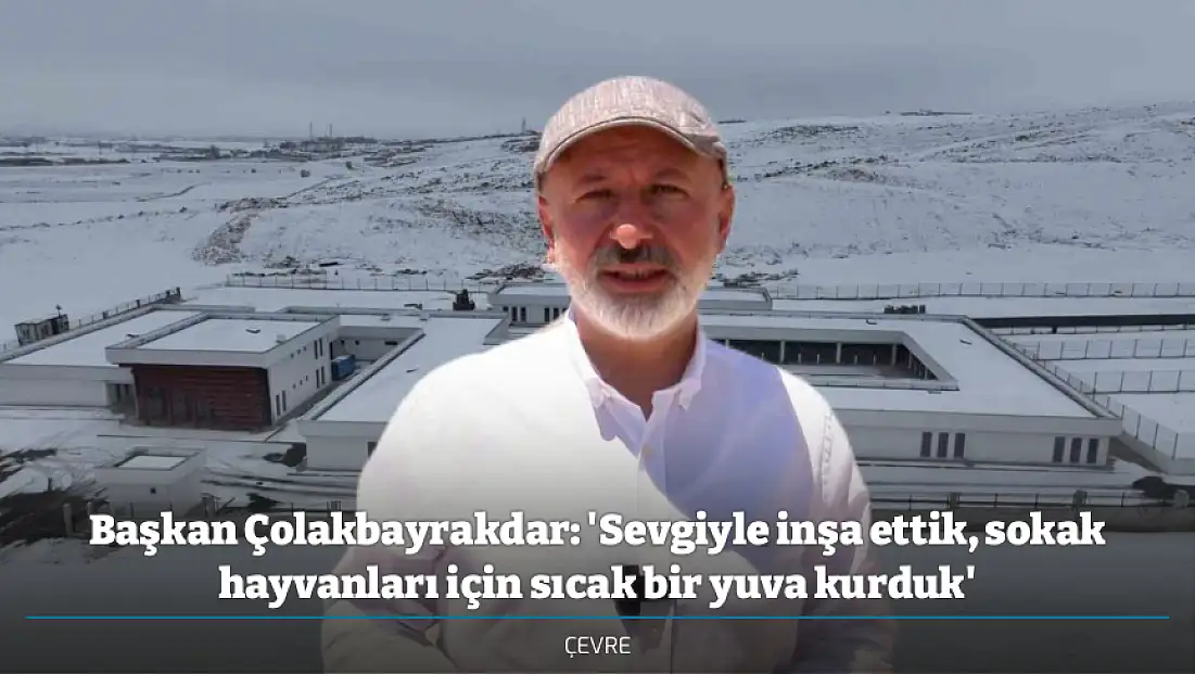 Başkan Çolakbayrakdar: 'Sevgiyle inşa ettik, sokak hayvanları için sıcak bir yuva kurduk'