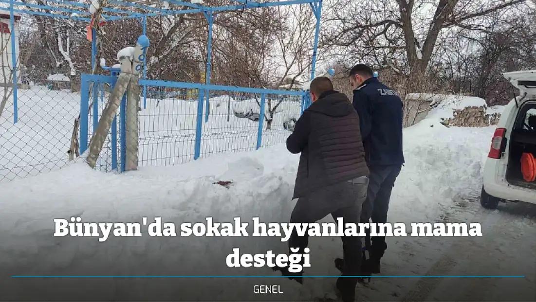 Bünyan'da sokak hayvanlarına mama desteği