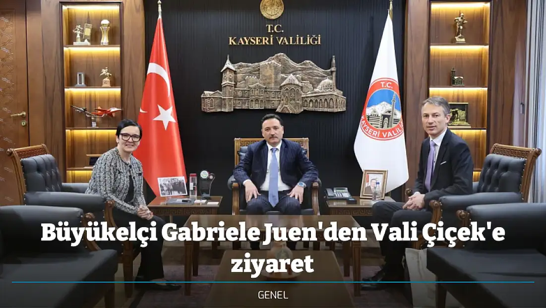 Büyükelçi Gabriele Juen'den Vali Çiçek'e ziyaret