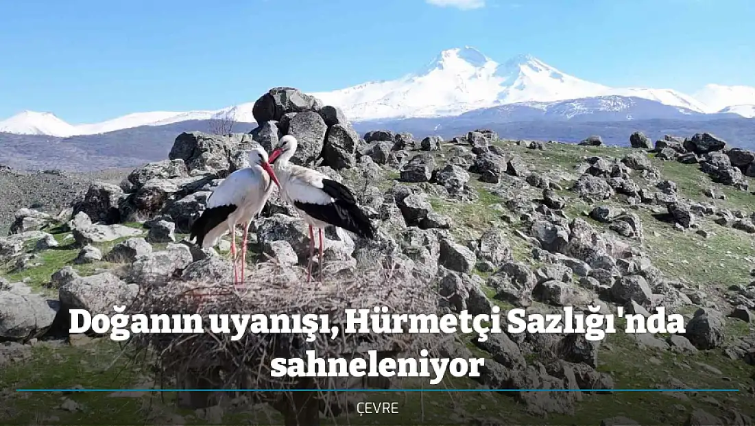 Doğanın uyanışı, Hürmetçi Sazlığı'nda sahneleniyor