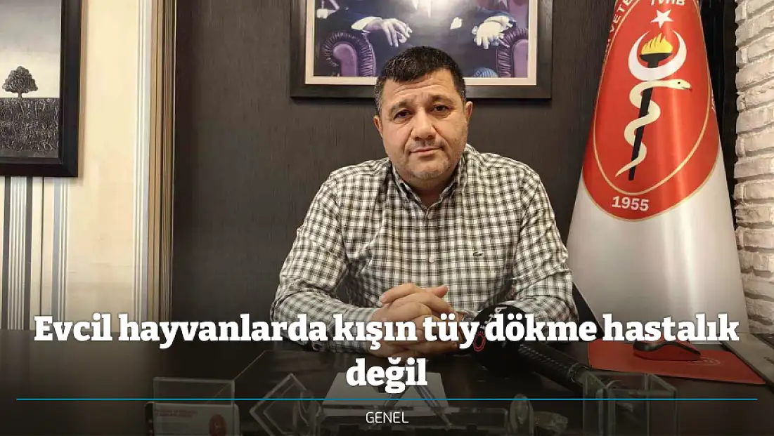 Evcil hayvanlarda kışın tüy dökme hastalık değil