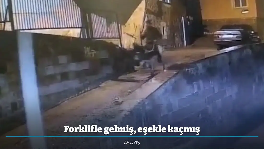 Forklifle gelmiş, eşekle kaçmış