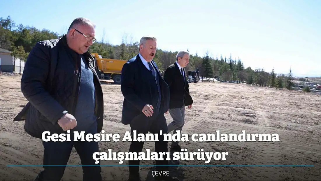 Gesi Mesire Alanı'nda canlandırma çalışmaları sürüyor