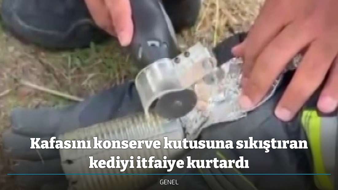 Kafasını konserve kutusuna sıkıştıran kediyi itfaiye kurtardı
