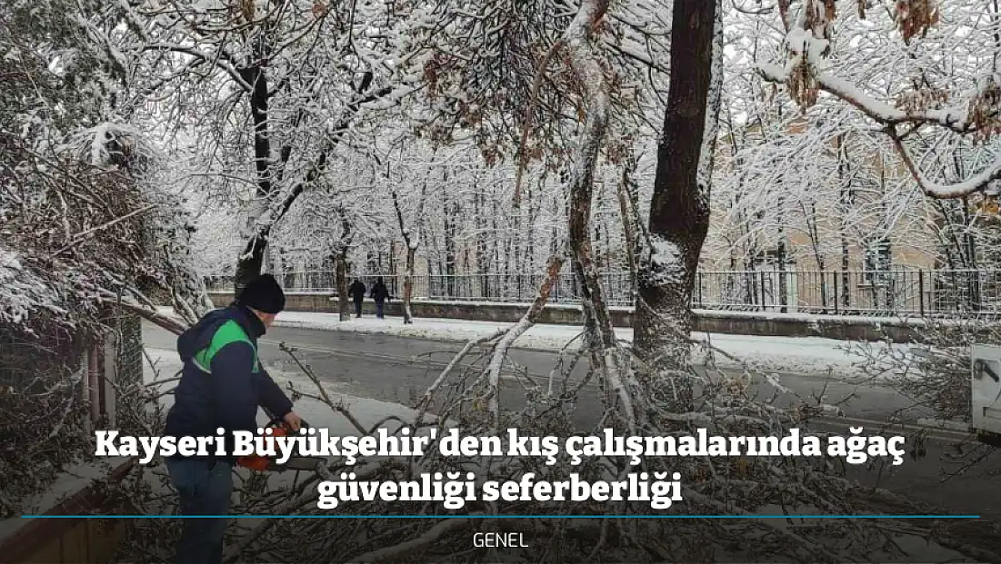 Kayseri Büyükşehir'den kış çalışmalarında ağaç güvenliği seferberliği