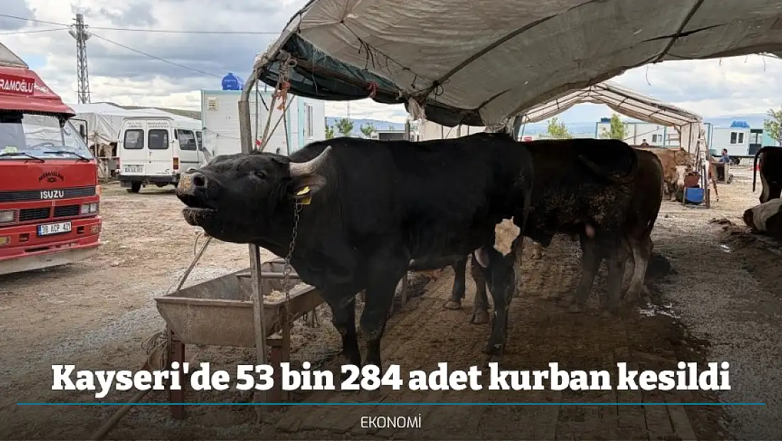 Kayseri'de 53 bin 284 adet kurban kesildi