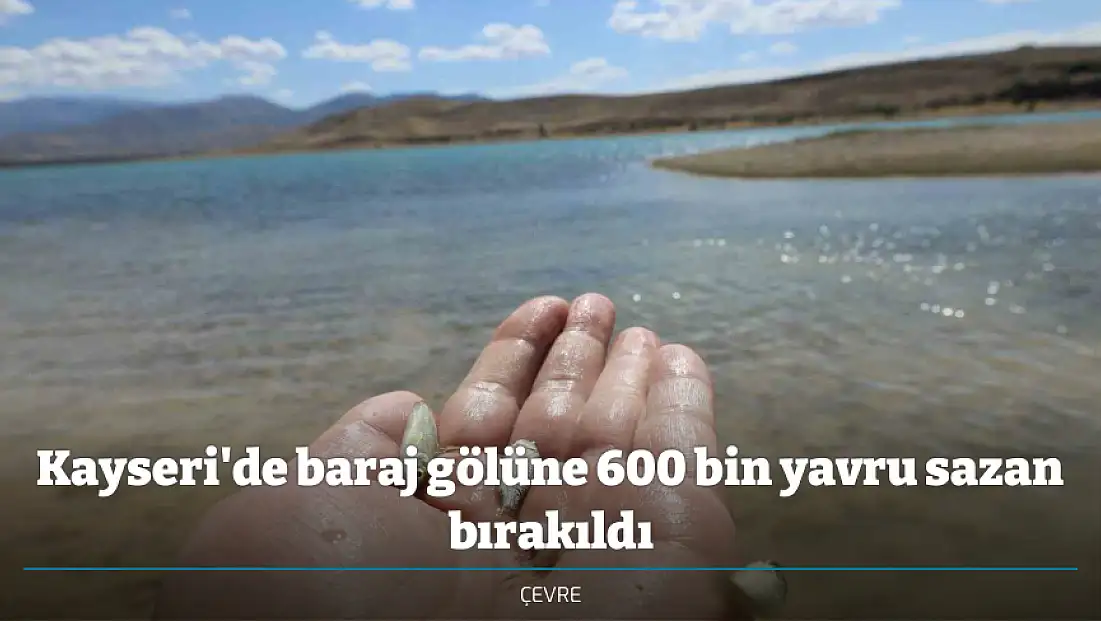 Kayseri'de baraj gölüne 600 bin yavru sazan bırakıldı