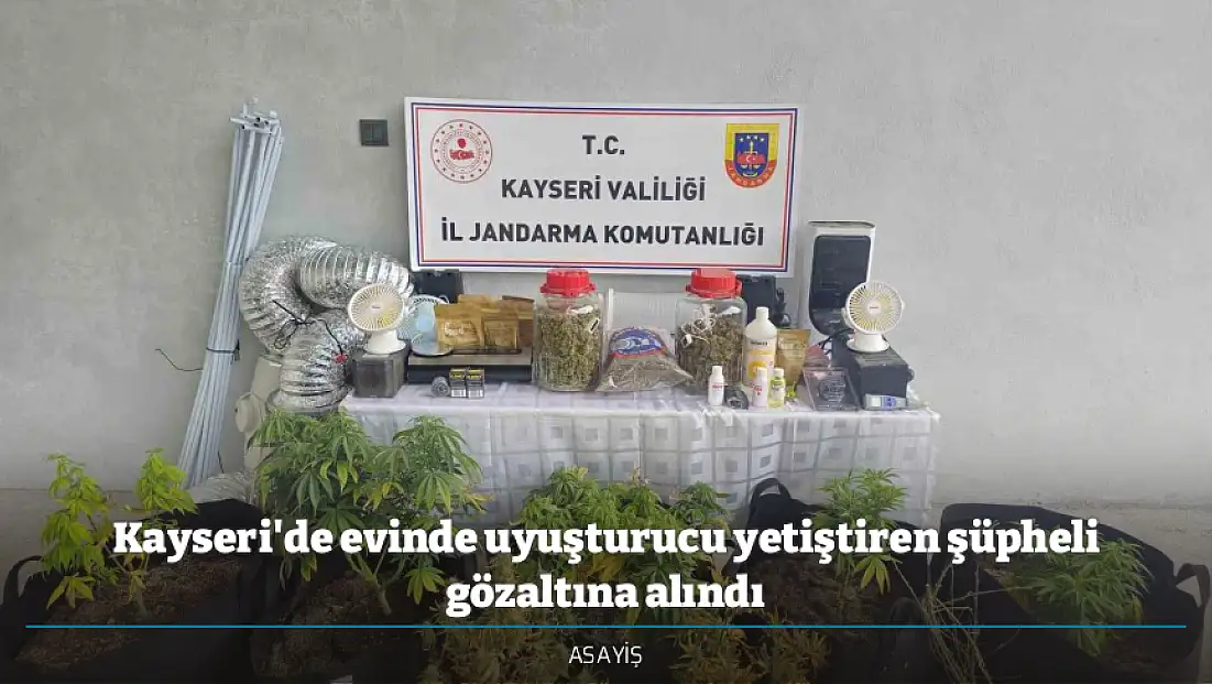 Kayseri'de evinde uyuşturucu yetiştiren şüpheli gözaltına alındı