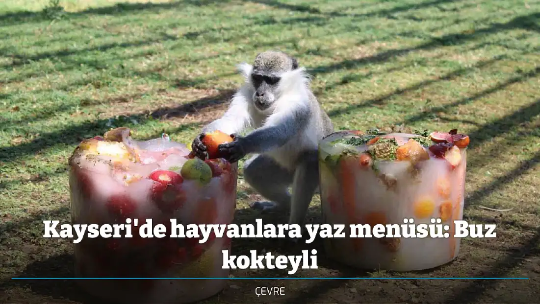 Kayseri'de hayvanlara yaz menüsü: Buz kokteyli