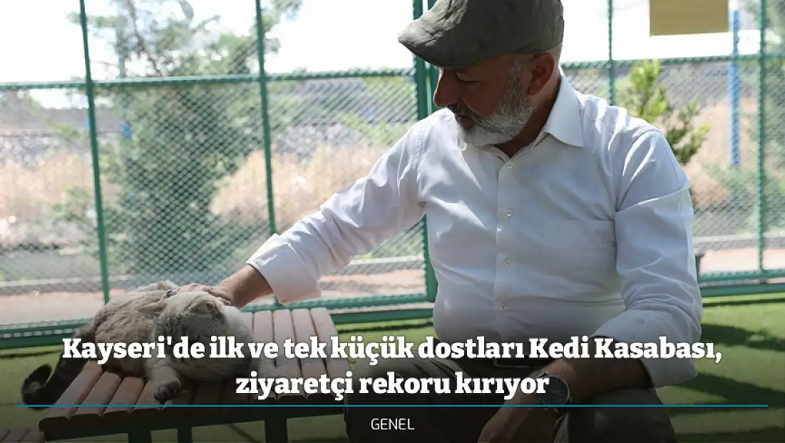 Kayseri'de ilk ve tek küçük dostları Kedi Kasabası, ziyaretçi rekoru kırıyor