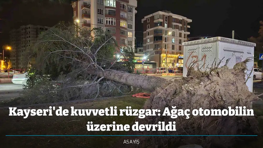Kayseri'de kuvvetli rüzgar: Ağaç otomobilin üzerine devrildi