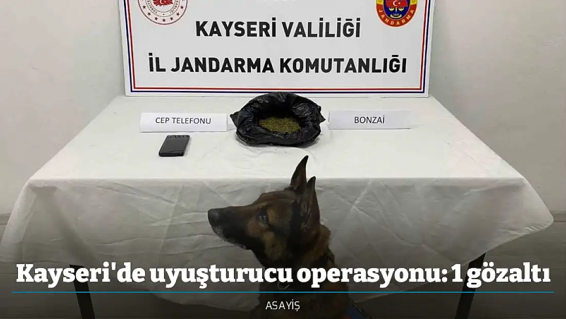 Kayseri'de uyuşturucu operasyonu: 1 gözaltı