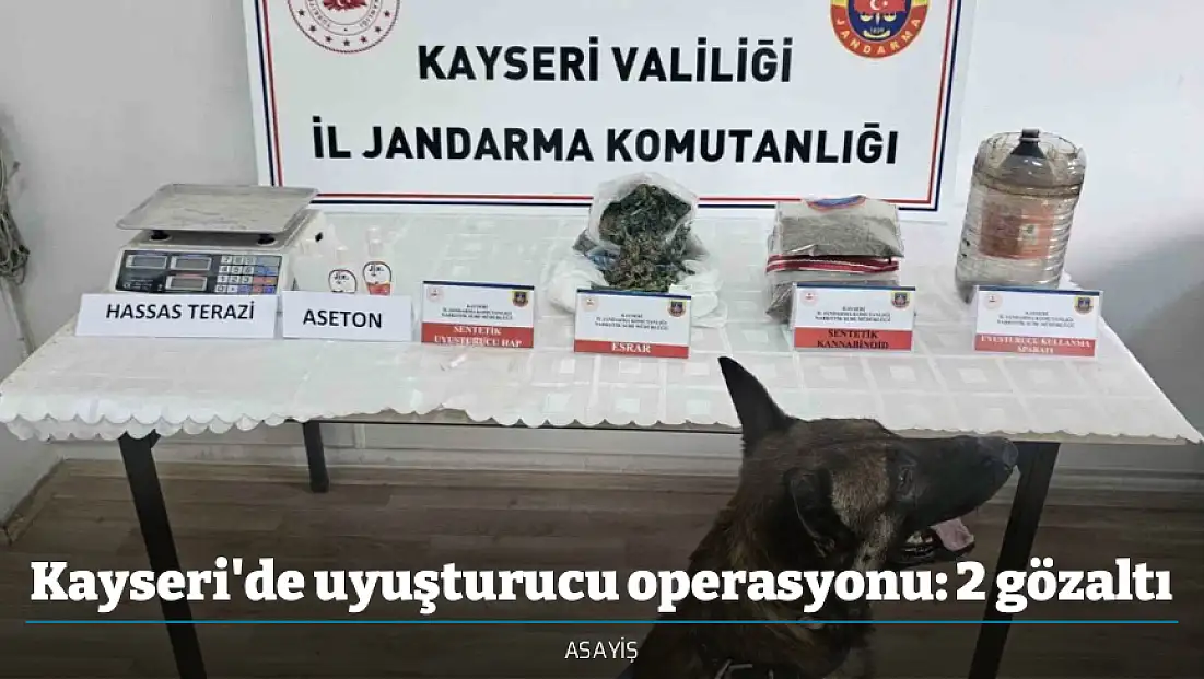 Kayseri'de uyuşturucu operasyonu: 2 gözaltı
