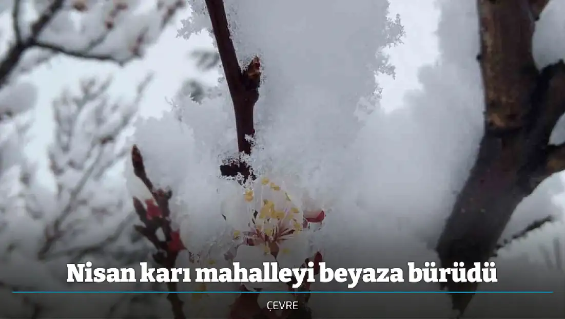 Nisan karı mahalleyi beyaza bürüdü