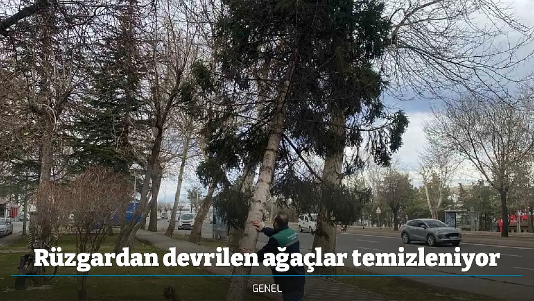 Rüzgardan devrilen ağaçlar temizleniyor