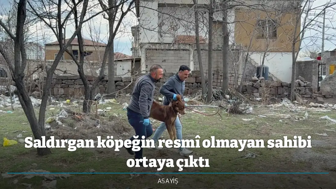 Saldırgan köpeğin resmî olmayan sahibi ortaya çıktı