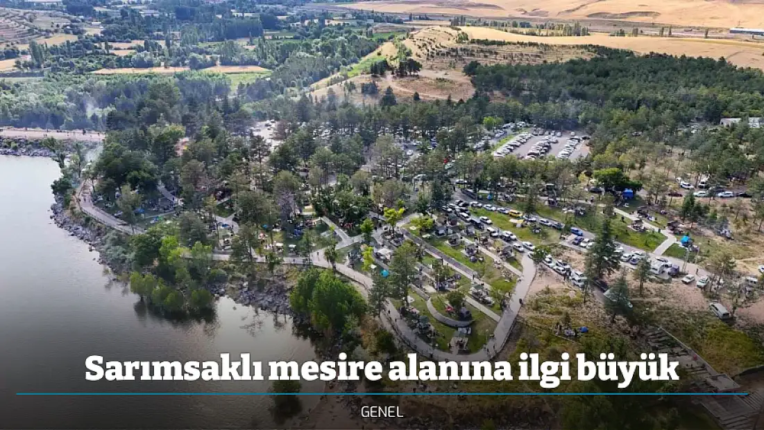 Sarımsaklı mesire alanına ilgi büyük