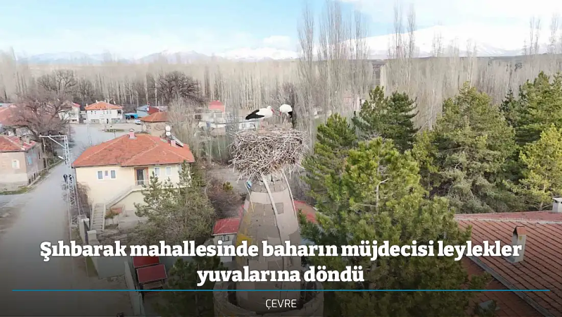 Şıhbarak mahallesinde baharın müjdecisi leylekler yuvalarına döndü