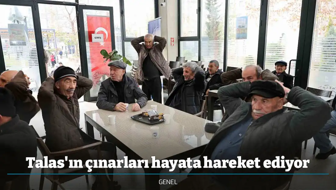 Talas'ın çınarları hayata hareket ediyor