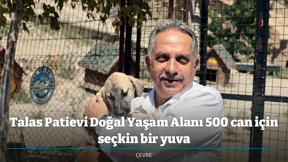 Talas Patievi Doğal Yaşam Alanı 500 can için seçkin bir yuva
