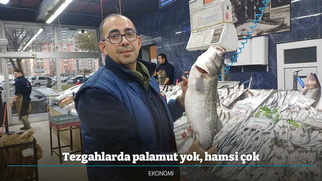 Tezgahlarda palamut yok, hamsi çok