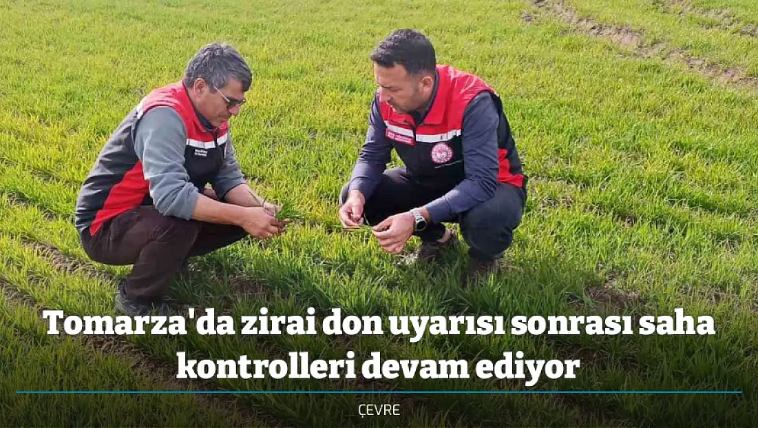 Tomarza'da zirai don uyarısı sonrası saha kontrolleri devam ediyor