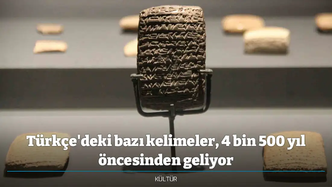Türkçe'deki bazı kelimeler, 4 bin 500 yıl öncesinden geliyor