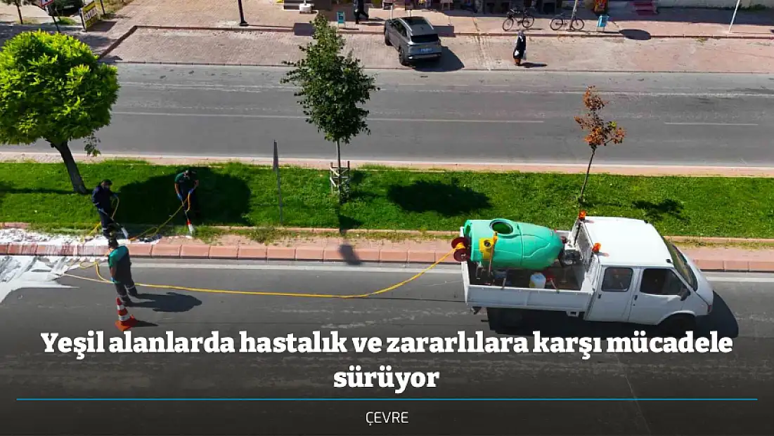 Yeşil alanlarda hastalık ve zararlılara karşı mücadele sürüyor