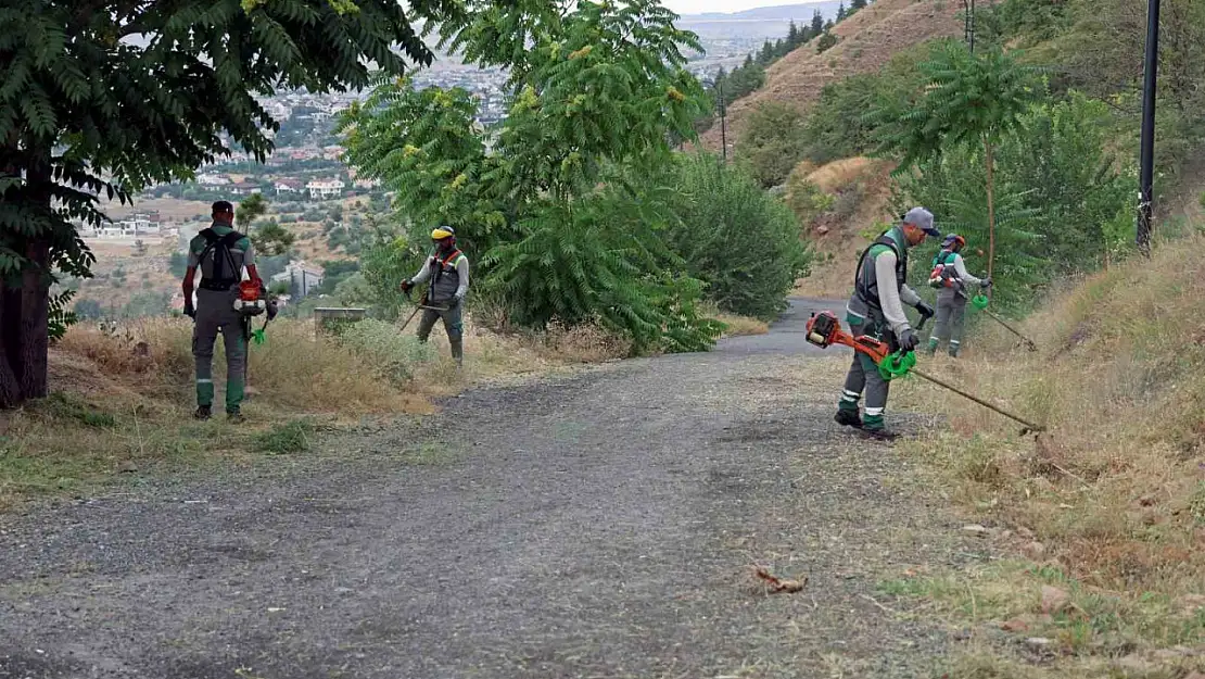 Ali Dağı'nda yangına karşı üst düzey önlem