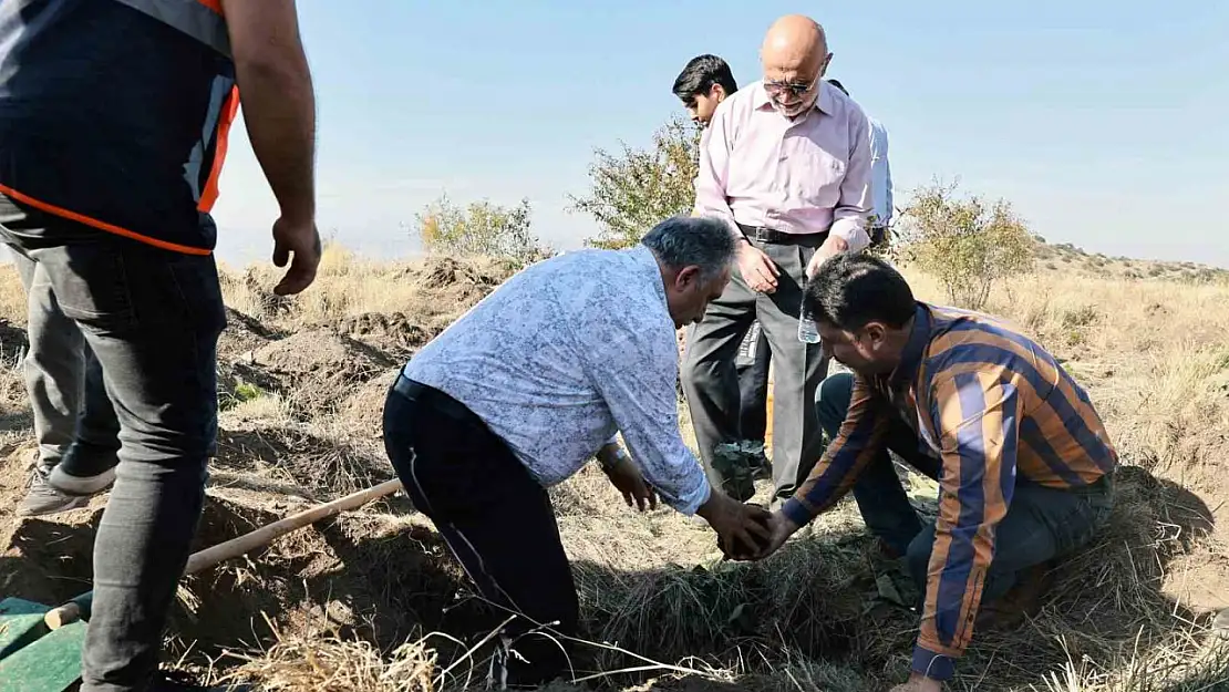 Başkan Yalçın: 'Diktiğiniz fidanlar dünyaya iyilik olarak yansıyacak'