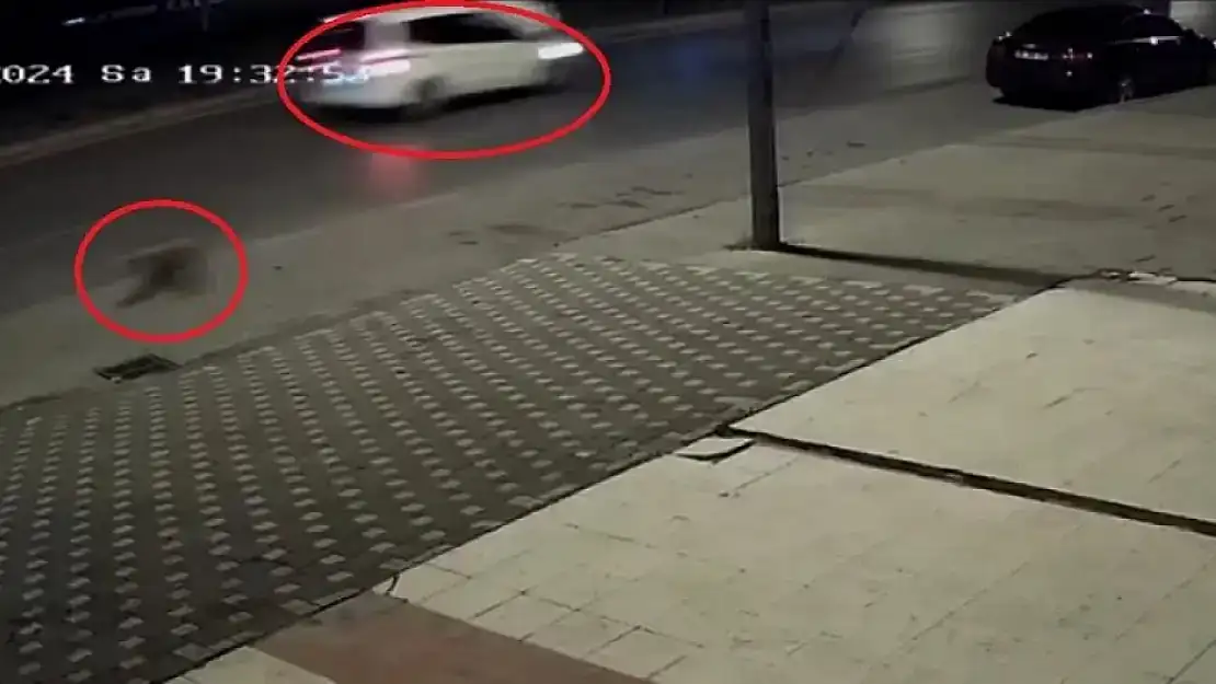 Çarptığı gencin ölümüne sebep olan vicdansız sürücü yakalandı