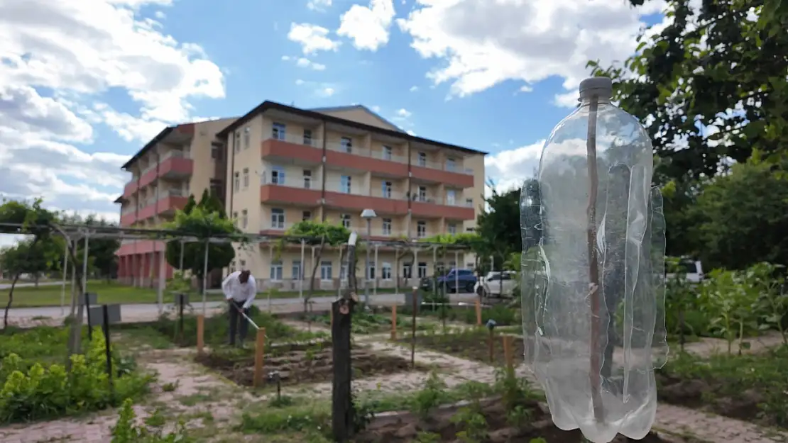 Huzurevi'ndeki yaşlı çınarlar hobi bahçesi ile toprakları yeşertiyor