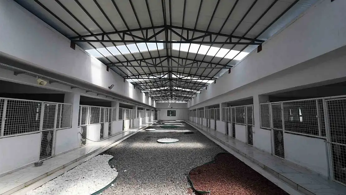 Kayseri'de 500 hayvan kapasiteli yeni bir barınak inşa ediliyor