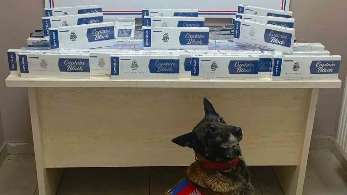 Kayseri'de bin 400 paket kaçak sigara yakalandı