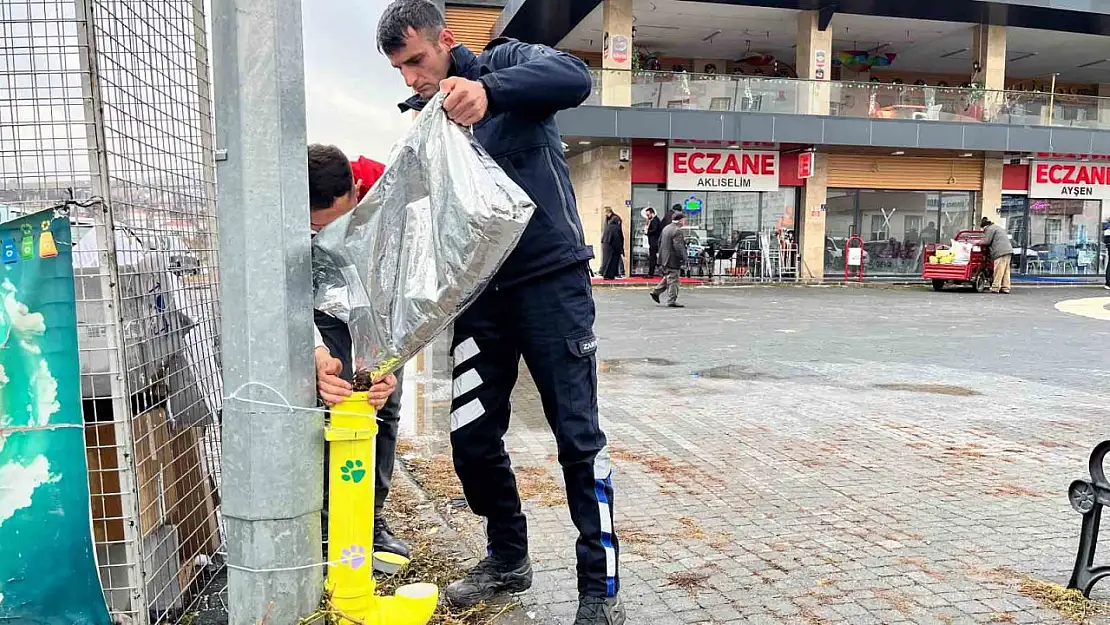 Kış günlerinde Bünyan'da sokak hayvanlarına umut eli