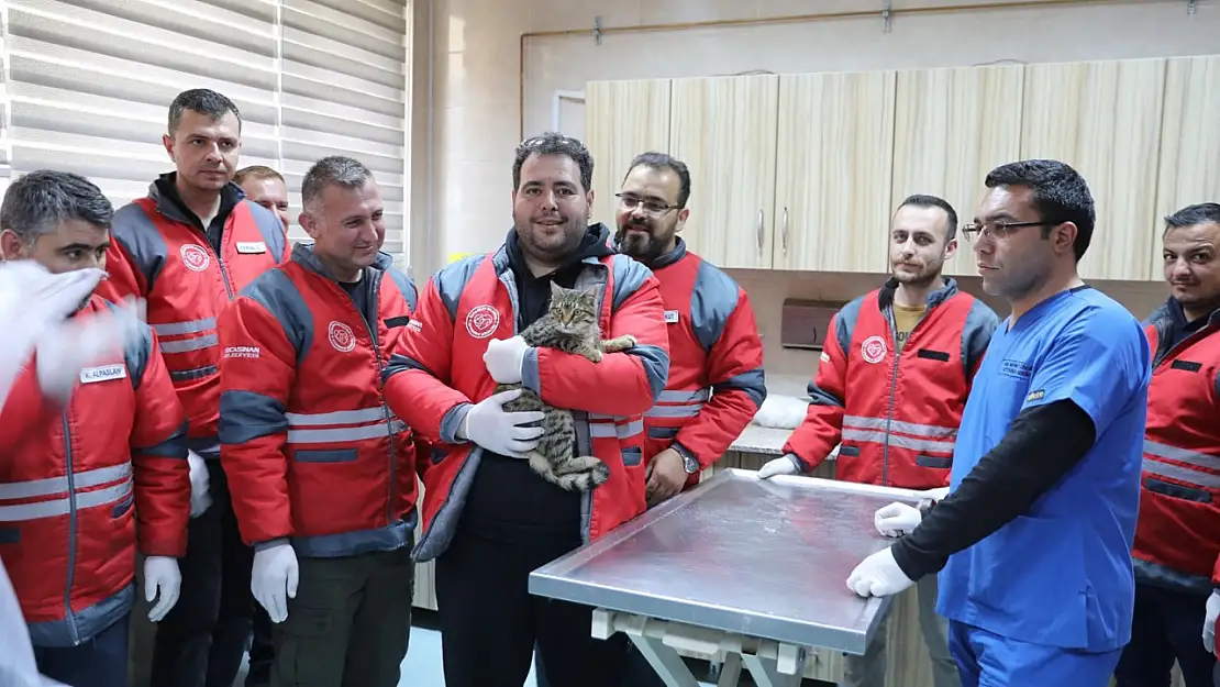 Kocasinan Belediyesi'nden veterinerlik personeline sertifikalı eğitim