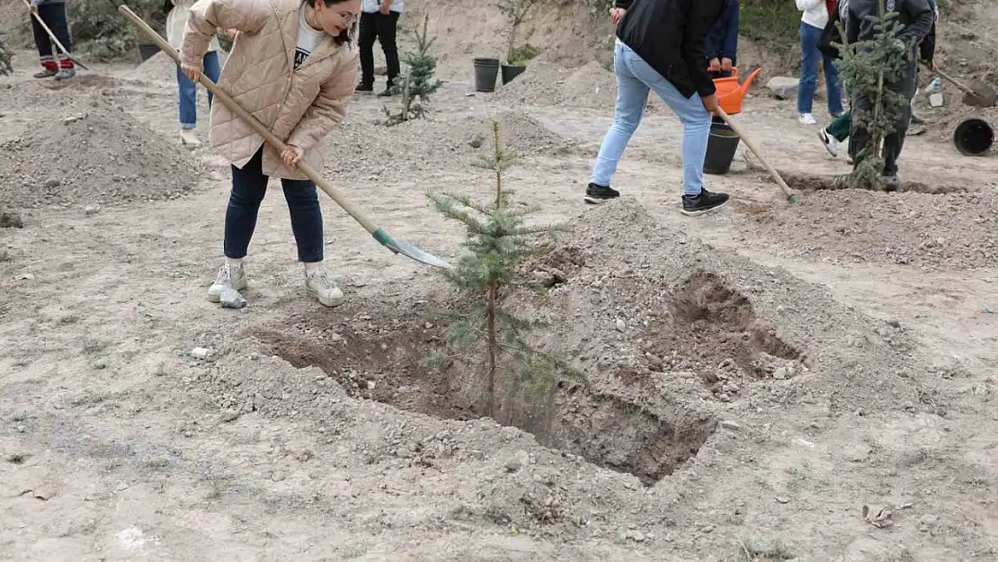 Melikgazi'nin yeşil dokusu güçleniyor