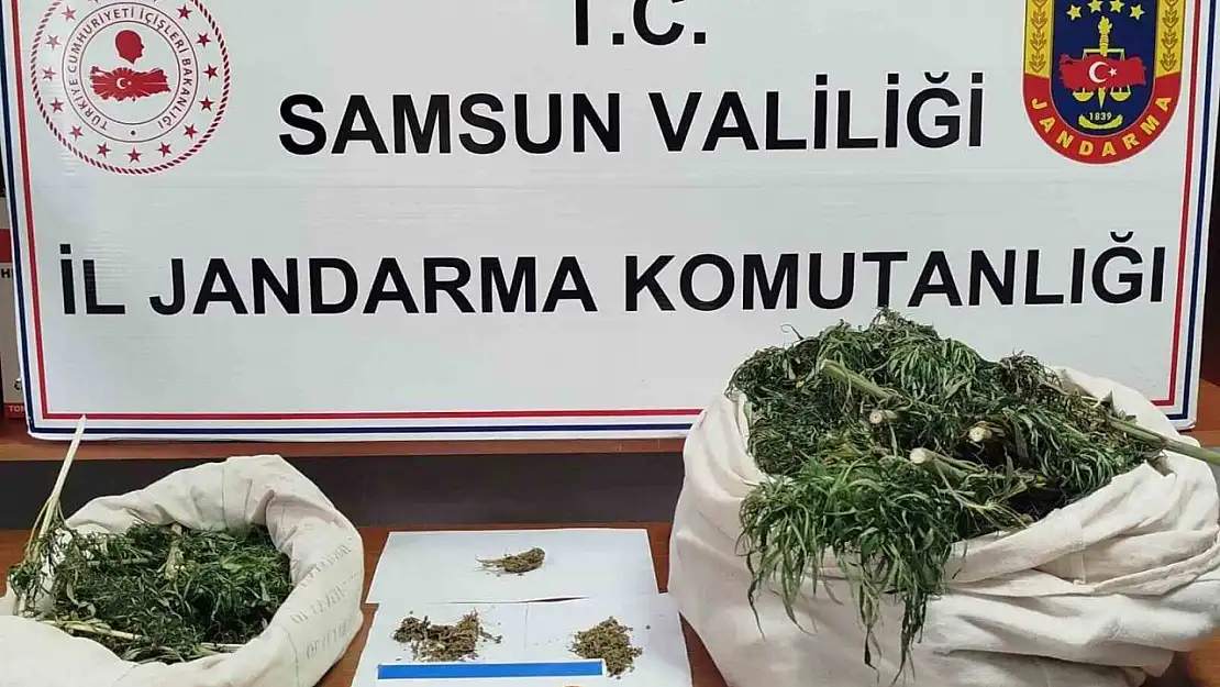 Samsun'da Jandarma 10 kilo kubar esrar ele geçirdi