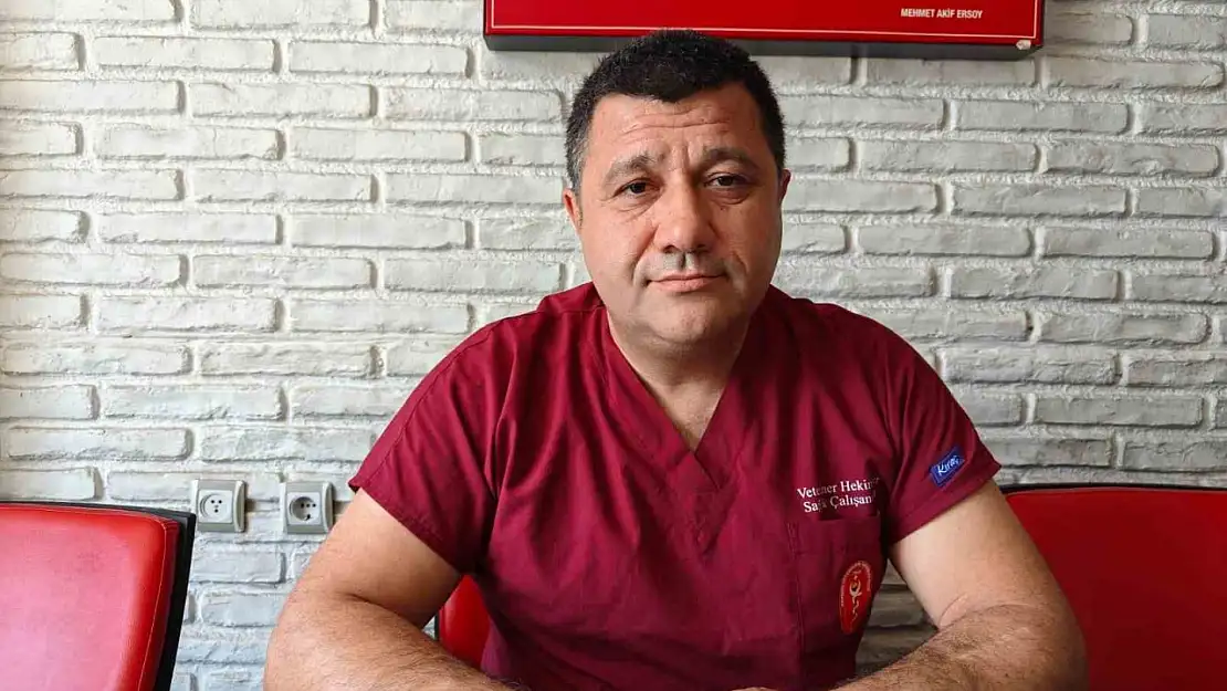 Sineklerle mücadele yönteminizi değiştirin