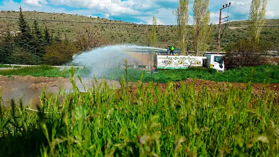 Talas'ta sinek ve haşerata erken önlem