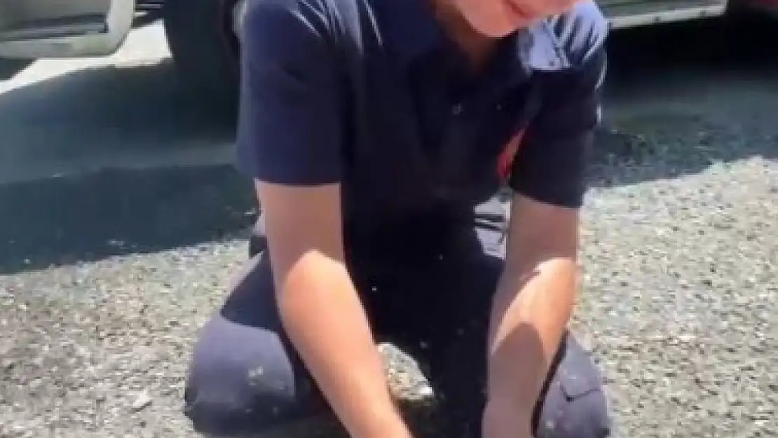 Yangında mahsur kalan kaplumbağaya itfaiyeden yardım eli