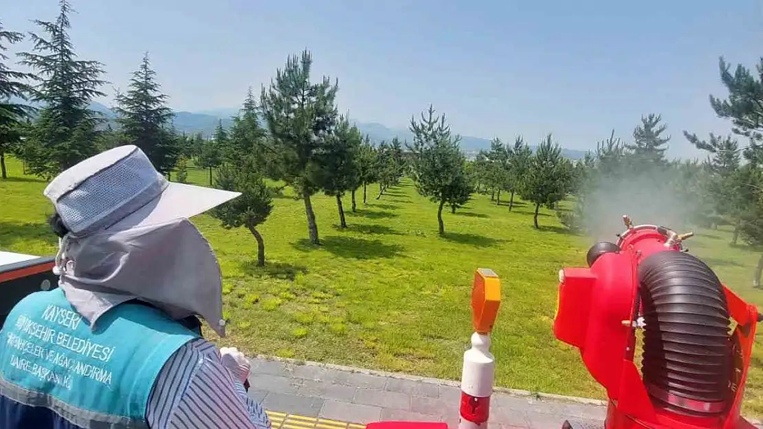 Yeşil alanlarda ilaçlama çalışması sürüyor