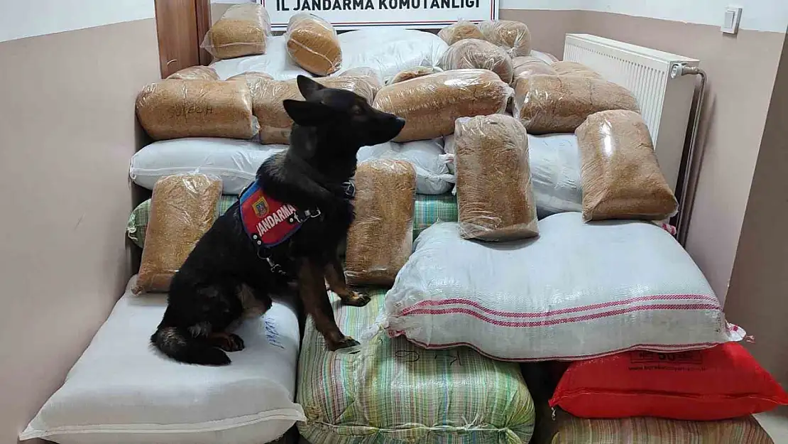 Yolcu otobüsünde 1 buçuk ton kaçak tütün yakalandı